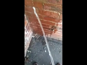 Pisscomp4