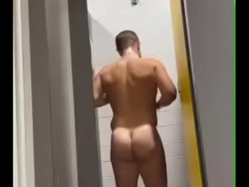 Blonde anaconda