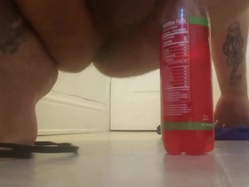 Bottle insert