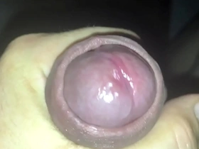 Perversion